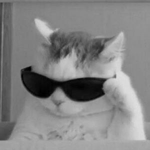 Meet your Posher, Avalon